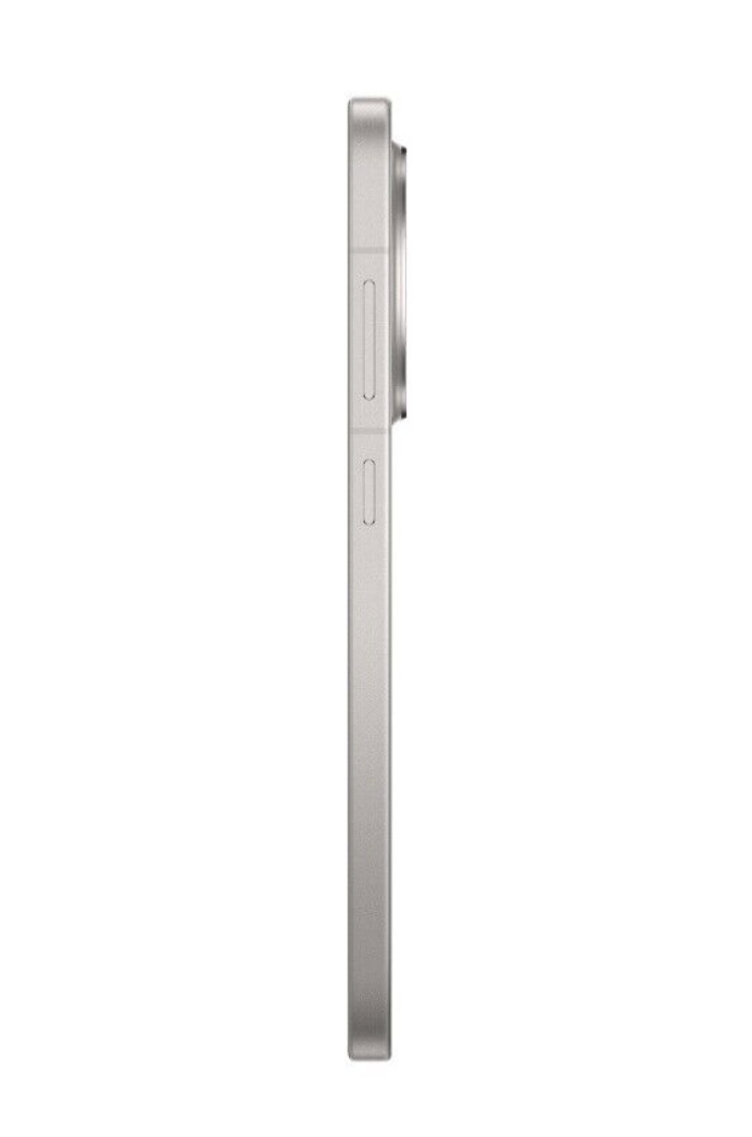 OnePlus 13R 12/256Гб, Серебристый